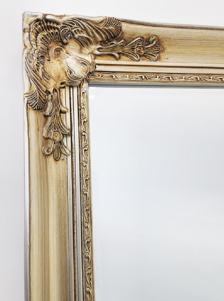 Armel Large Antique Champagne Full Length Mirror