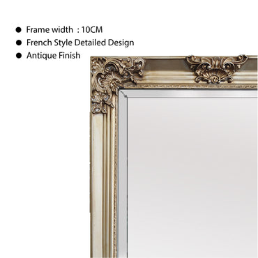 Bellise Large Ornate Champagne Full Length Mirror