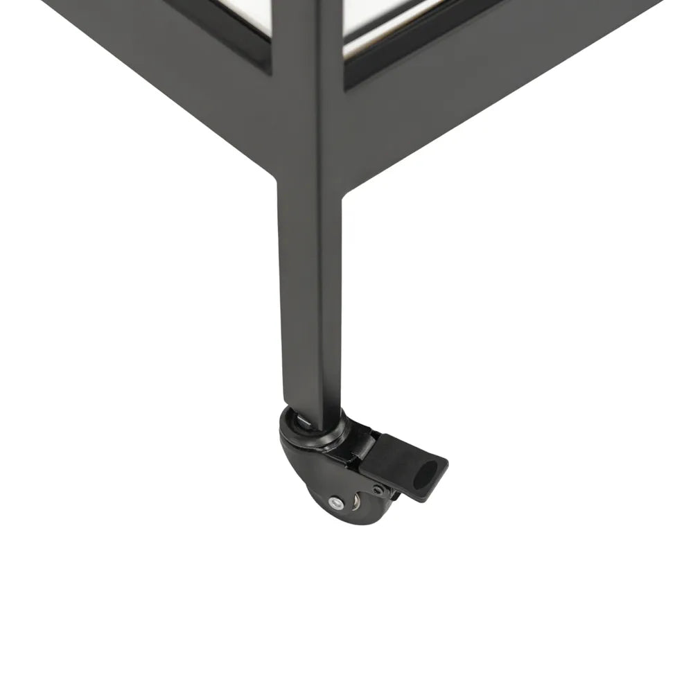 Fenton Mirrored Bar Cart - Black
