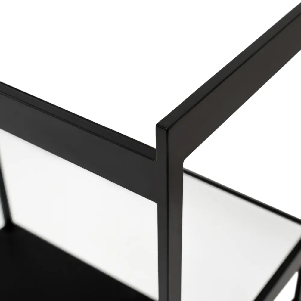 Fenton Mirrored Bar Cart - Black