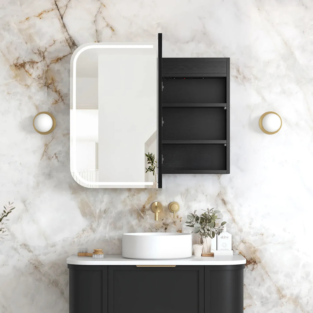 Charlie 2 Door LED Shaving Cabinet - Black